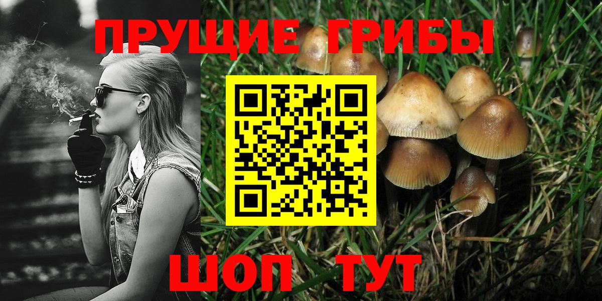 Галлюциногенные грибы Magic Shrooms  Вход с VPN  Фролово 