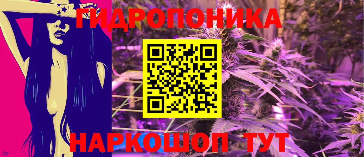 Шишки марихуана семена Фролово